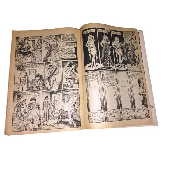 Middle Class Fantasies Vintage Underground Comix Comic Book - 1973 Jerry Lane - Picture 16 of 16